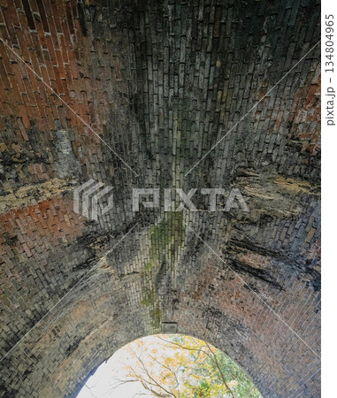 愛岐トンネル群　秋の特別公開 134804965