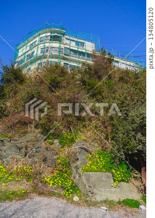 [雑賀崎アマルフィ]ノスタルジックな雰囲気の住宅街の風景 134805120