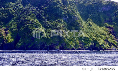 海から見た伊豆諸島御蔵島の岸壁 134805235