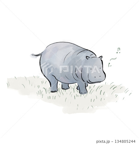 のんびりしたカバのイラスト 134805244