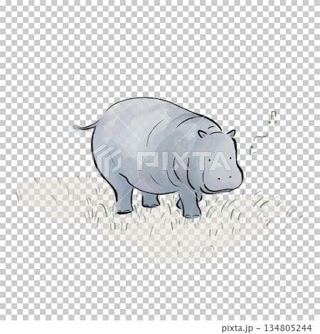 のんびりしたカバのイラスト 134805244