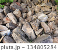 A pile of stones 134805284