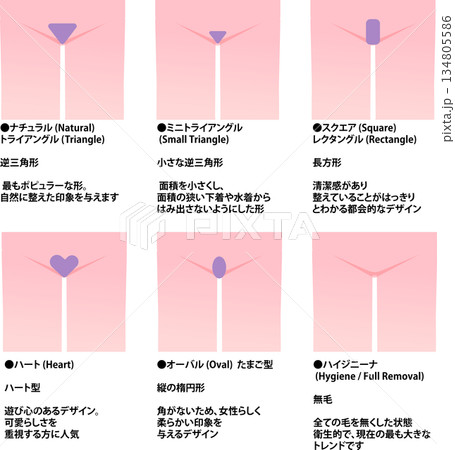 VIO脱毛の部位を説明する女性の下半身のパーツイラストセット（説明文付き） 134805586
