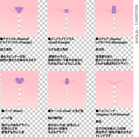 VIO脱毛の部位を説明する女性の下半身のパーツイラストセット（説明文付き） 134805586