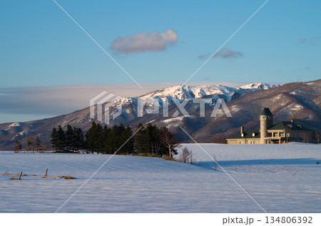 早春の快晴の青空をバックに天狗山と里山を背景に撮影 134806392
