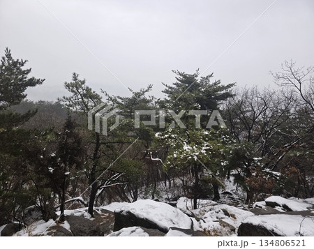 mountain landscape in winter mountain landscape in winter 134806521