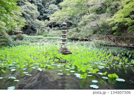 秋の風情 石塔 五重塔 秋の風情 石塔 五重塔 134807306