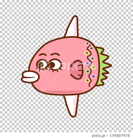 色彩繽紛的粉紅翻車魚 134807478