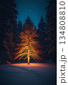 Tree is lit up in the snow, creating a warm and inviting atmosphere 134808810