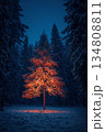 Tree is lit up in the snow, creating a warm and inviting atmosphere 134808811