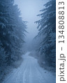Snowy forest path with trees in the background 134808813