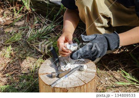 化石掘り遊びをする子ども（8歳児／男の子） 134809533