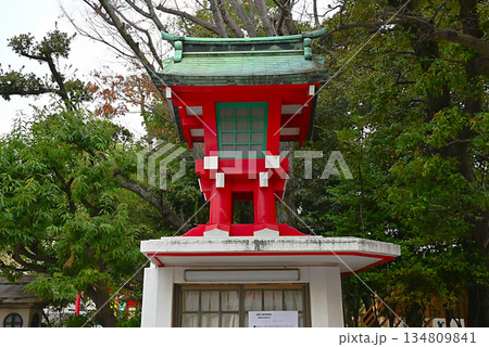 富岡八幡宮の赤い灯籠 富岡八幡宮の赤い灯籠 134809841