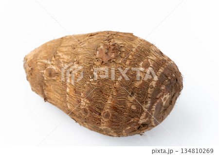 白背景に1個の里芋（土垂） 134810269
