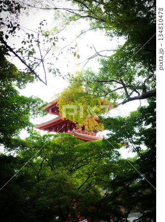 高幡不動の五重塔 高幡不動の五重塔 134810478