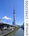 スカイツリー 134810566