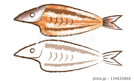 カマスの干物 カマスの干物 134810868