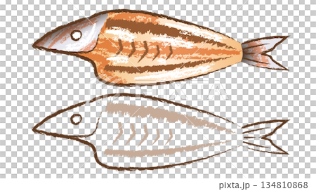 カマスの干物 カマスの干物 134810868
