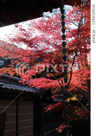 紅葉のある風景 紅葉のある風景 134810919