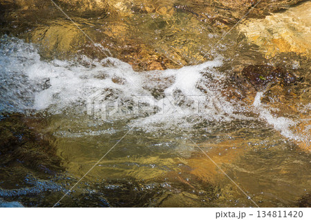 秋の川　清流の流れのアップ99 134811420
