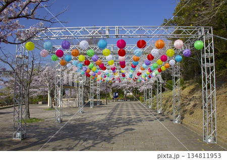 須磨浦・敦盛公園の「敦盛桜」 134811953