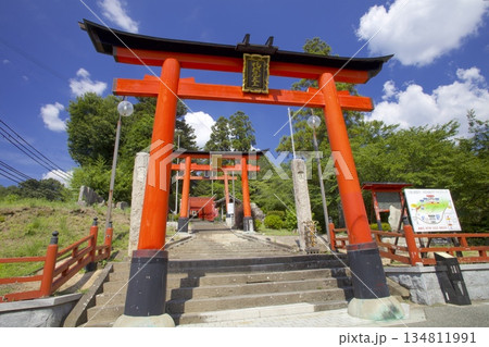 丹波篠山・本経寺「王地山まけきらい稲荷」の鳥居の続く参道 丹波篠山・本経寺「王地山まけきらい稲荷」の鳥居の続く参道 134811991