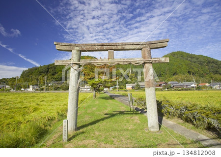 「酒滴神社(さかたれじんじゃ)」の石鳥居と稲穂実る田園 「酒滴神社(さかたれじんじゃ)」の石鳥居と稲穂実る田園 134812008