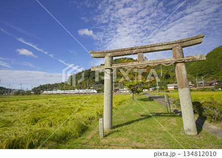 稲穂実る田園の中をゆくJR福知山線・特急こうのとりと「酒滴神社(さかたれじんじゃ)」の石鳥居 稲穂実る田園の中をゆくJR福知山線・特急こうのとりと「酒滴神社(さかたれじんじゃ)」の石鳥居 134812010