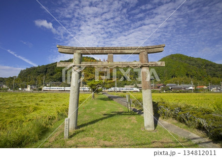 稲穂実る田園の中をゆくJR福知山線・特急こうのとりと「酒滴神社(さかたれじんじゃ)」の石鳥居 稲穂実る田園の中をゆくJR福知山線・特急こうのとりと「酒滴神社(さかたれじんじゃ)」の石鳥居 134812011