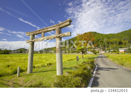 酒滴神社(さかたれじんじゃ)」の石鳥居と稲穂実る田園 酒滴神社(さかたれじんじゃ)」の石鳥居と稲穂実る田園 134812015