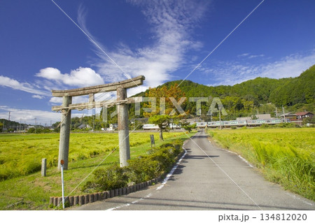 稲穂実る田園の中をゆくJR福知山線と「酒滴神社(さかたれじんじゃ)」の石鳥居 稲穂実る田園の中をゆくJR福知山線と「酒滴神社(さかたれじんじゃ)」の石鳥居 134812020