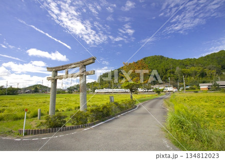 稲穂実る田園の中をゆくJR福知山線・特急こうのとりと「酒滴神社(さかたれじんじゃ)」の石鳥居 稲穂実る田園の中をゆくJR福知山線・特急こうのとりと「酒滴神社(さかたれじんじゃ)」の石鳥居 134812023