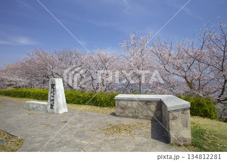 赤穂御崎の桜 赤穂御崎の桜 134812281