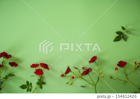 Bright small red roses on contrasting green background Bright small red roses on contrasting green background 134812420