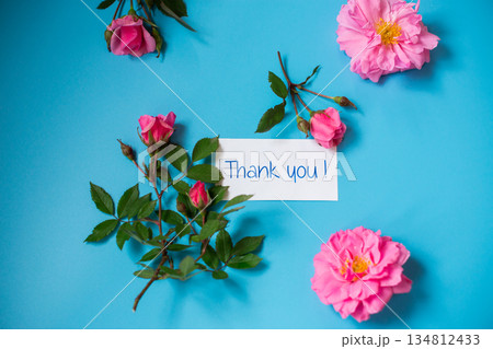 Pink garden roses on a blue background 134812433