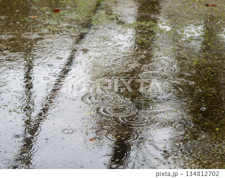 雨が降る水溜まり 134812702