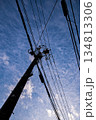 青空と電柱のシルエット 134813306