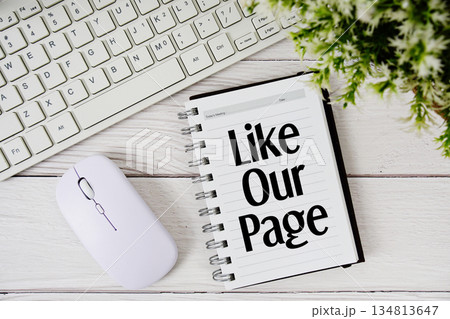 Like Our Page text with keyboard and wireless mouse on wooden background Like Our Page text with keyboard and wireless mouse on wooden background 134813647