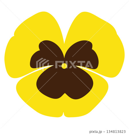 イラスト素材　手描き　花 134813823