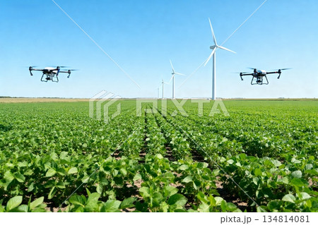 windmill on the field windmill on the field 134814081