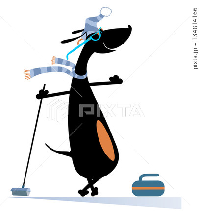 Smiling dog plays curling isolated illustration. Cartoon dachshund with a curling brush and a stone isolated on white illustration	 134814166