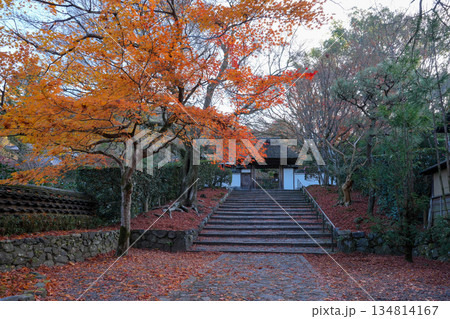京都・東山の鹿ヶ谷安楽寺(美しい紅葉の京都の穴場) 京都・東山の鹿ヶ谷安楽寺(美しい紅葉の京都の穴場) 134814167