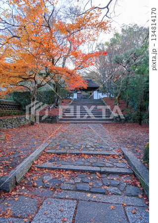京都・東山の鹿ヶ谷安楽寺(美しい紅葉の京都の穴場) 京都・東山の鹿ヶ谷安楽寺(美しい紅葉の京都の穴場) 134814170