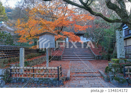 京都・東山の鹿ヶ谷安楽寺(美しい紅葉の京都の穴場) 京都・東山の鹿ヶ谷安楽寺(美しい紅葉の京都の穴場) 134814172