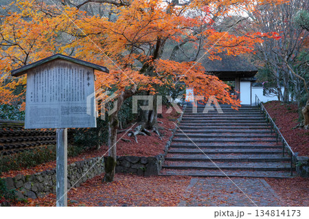 京都・東山の鹿ヶ谷安楽寺（美しい紅葉の京都の穴場） 134814173