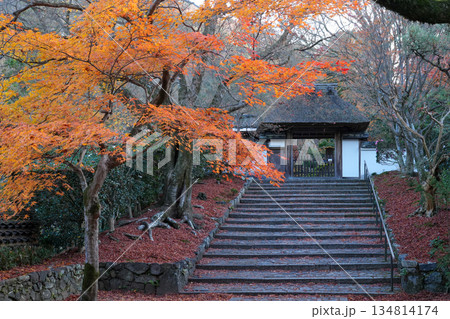 京都・東山の鹿ヶ谷安楽寺(美しい紅葉の京都の穴場) 京都・東山の鹿ヶ谷安楽寺(美しい紅葉の京都の穴場) 134814174