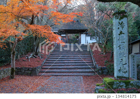 京都・東山の鹿ヶ谷安楽寺（美しい紅葉の京都の穴場） 134814175