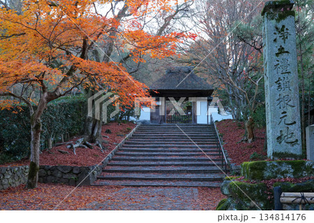 京都・東山の鹿ヶ谷安楽寺(美しい紅葉の京都の穴場) 京都・東山の鹿ヶ谷安楽寺(美しい紅葉の京都の穴場) 134814176