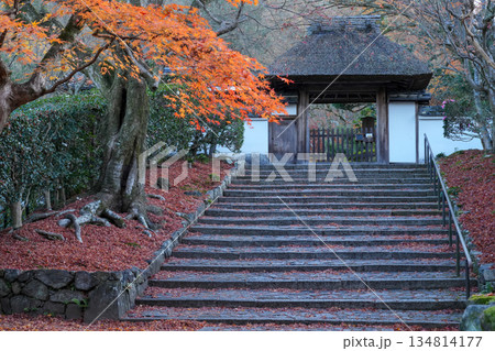 京都・東山の鹿ヶ谷安楽寺（美しい紅葉の京都の穴場） 134814177