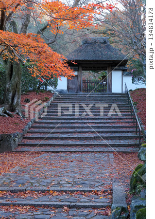京都・東山の鹿ヶ谷安楽寺（美しい紅葉の京都の穴場） 134814178